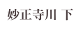 妙正寺川 下